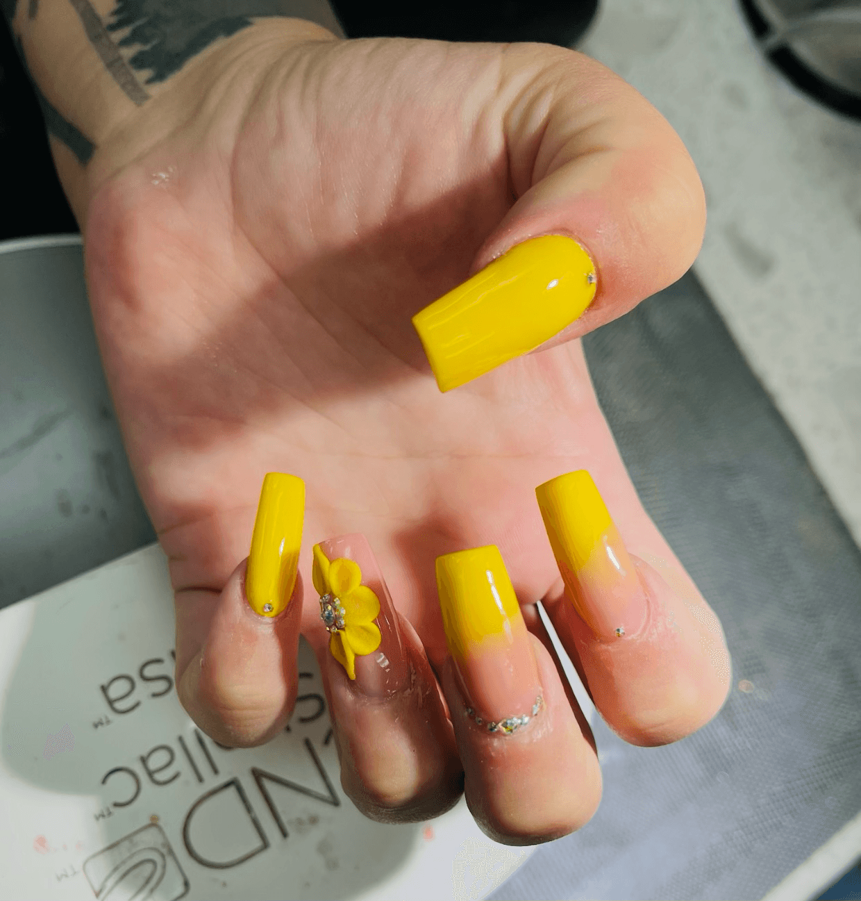 Acrylics 8