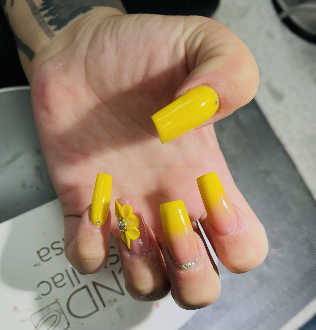 Acrylics 8